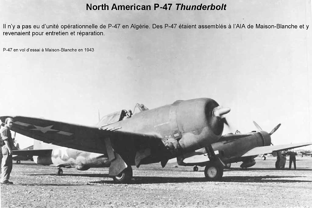 63 - 2nde Guerre Mondiale (10)_000011.jpg